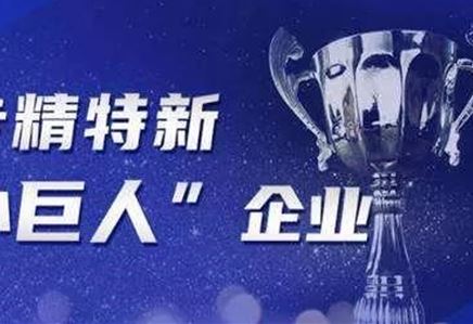 公司获江苏省“专精特新小巨人”荣誉称号