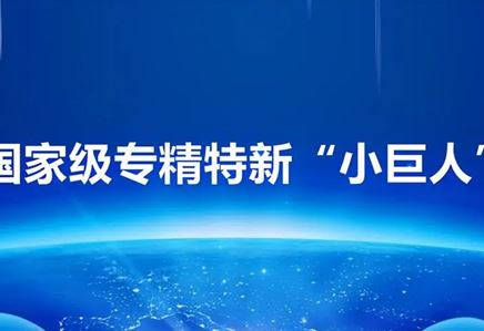 我司荣获“专精特新小巨人”荣誉称号，彰显创新实力与卓越品质