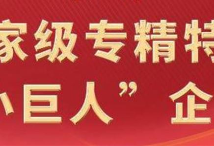我司通过2025年专精特新“小巨人”复核，领跑细分领域高质量发展