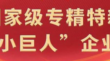 我司通过2025年专精特新“小巨人”复核，领跑细分领域高质量发展